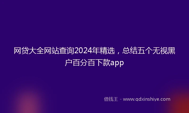 网贷大全网站查询2024年精选，总结五个无视黑户百分百下款app