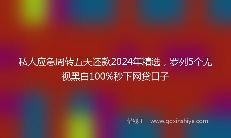 私人应急周转五天还款2024年精选，罗列5个无视黑白100%秒下网贷口子