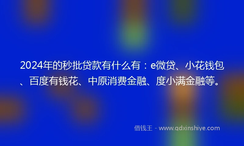 2024年的秒批贷款有什么有：e微贷、小花钱包、百度有钱花、中原消费金融、度小满金融等。