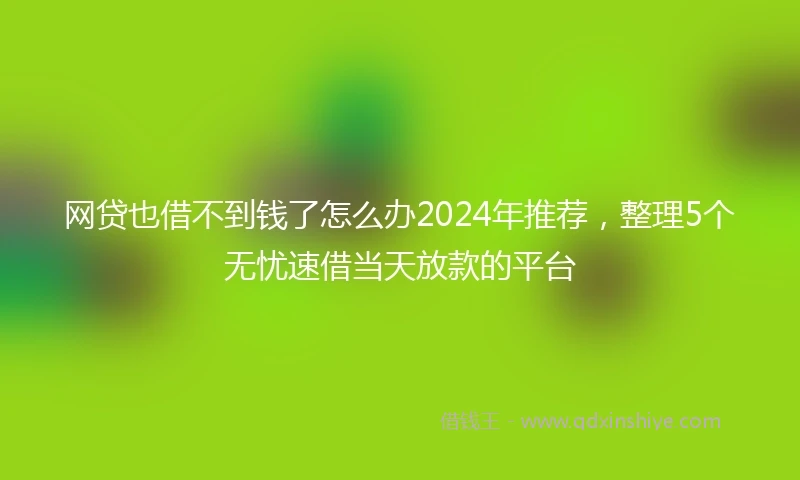 网贷也借不到钱了怎么办2024年推荐，整理5个无忧速借当天放款的平台