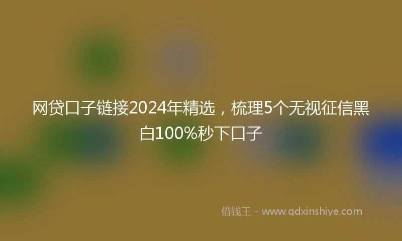 网贷口子链接2024年精选，梳理5个无视征信黑白100%秒下口子