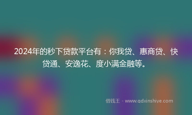 2024年的秒下贷款平台有：你我贷、惠商贷、快贷通、安逸花、度小满金融等。