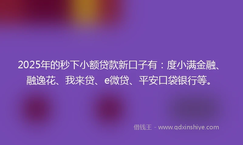2025年的秒下小额贷款新口子有：度小满金融、融逸花、我来贷、e微贷、平安口袋银行等。