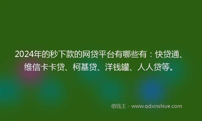 2024年的秒下款的网贷平台有哪些有：快贷通、维信卡卡贷、柯基贷、洋钱罐、人人贷等。