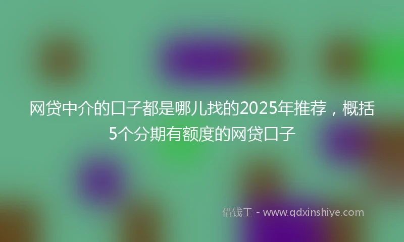 网贷中介的口子都是哪儿找的2025年推荐，概括5个分期有额度的网贷口子