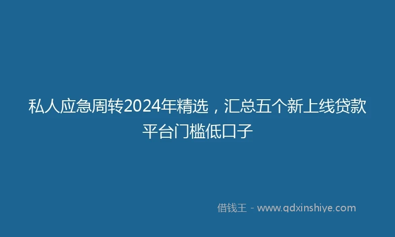 私人应急周转2024年精选，汇总五个新上线贷款平台门槛低口子
