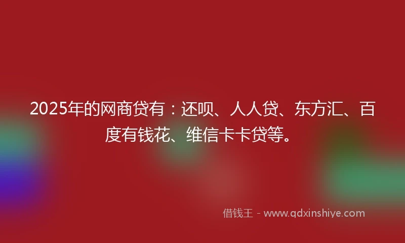 2025年的网商贷有：还呗、人人贷、东方汇、百度有钱花、维信卡卡贷等。