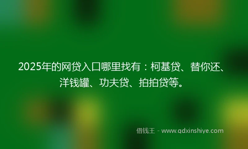 2025年的网贷入口哪里找有：柯基贷、替你还、洋钱罐、功夫贷、拍拍贷等。
