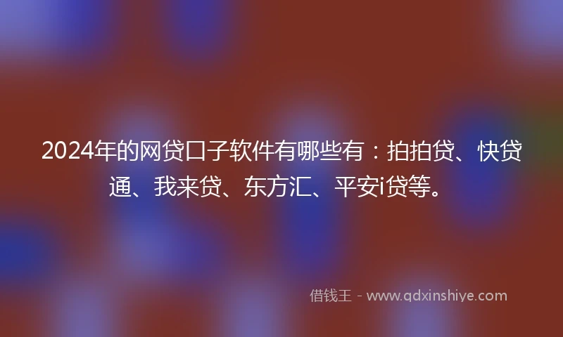 2024年的网贷口子软件有哪些有：拍拍贷、快贷通、我来贷、东方汇、平安i贷等。