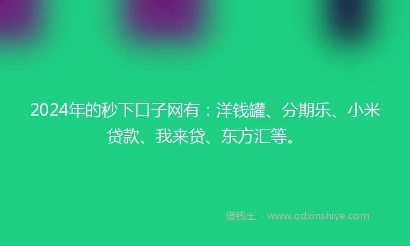 2024年的秒下口子网有：洋钱罐、分期乐、小米贷款、我来贷、东方汇等。