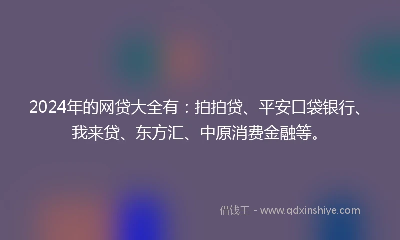 2024年的网贷大全有：拍拍贷、平安口袋银行、我来贷、东方汇、中原消费金融等。