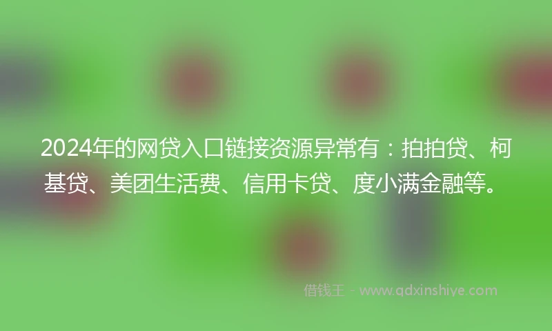 2024年的网贷入口链接资源异常有：拍拍贷、柯基贷、美团生活费、信用卡贷、度小满金融等。