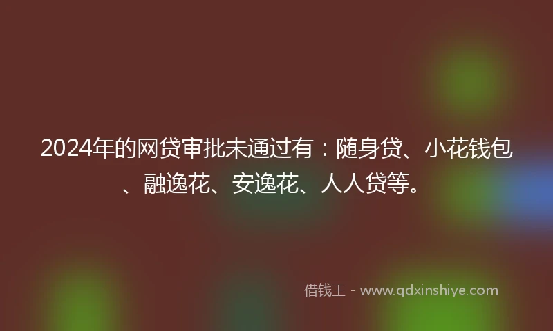 2024年的网贷审批未通过有：随身贷、小花钱包、融逸花、安逸花、人人贷等。