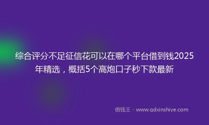 综合评分不足征信花可以在哪个平台借到钱2025年精选，概括5个高炮口子秒下款最新