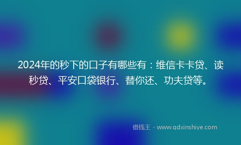 2024年的秒下的口子有哪些有：维信卡卡贷、读秒贷、平安口袋银行、替你还、功夫贷等。