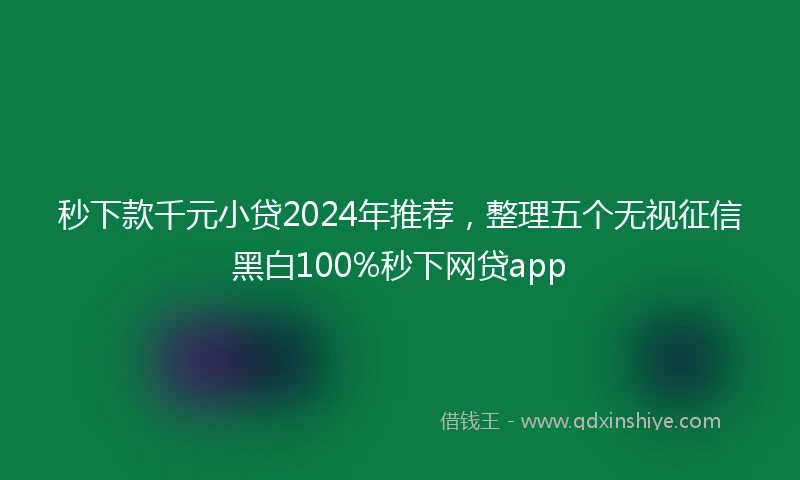 秒下款千元小贷2024年推荐，整理五个无视征信黑白100%秒下网贷app