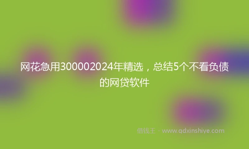 网花急用300002024年精选，总结5个不看负债的网贷软件