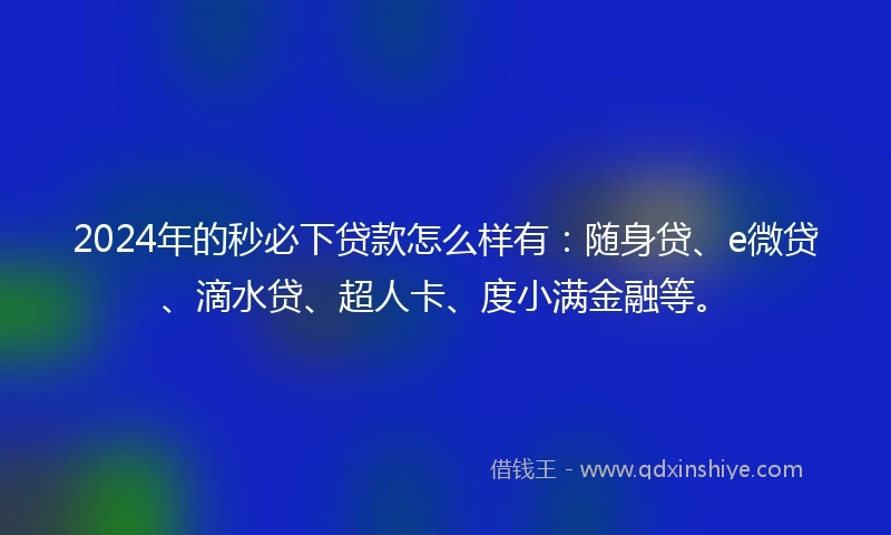 2024年的秒必下贷款怎么样有：随身贷、e微贷、滴水贷、超人卡、度小满金融等。