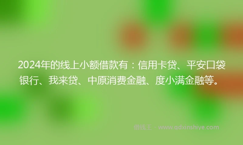 2024年的线上小额借款有：信用卡贷、平安口袋银行、我来贷、中原消费金融、度小满金融等。