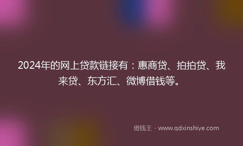 2024年的网上贷款链接有：惠商贷、拍拍贷、我来贷、东方汇、微博借钱等。
