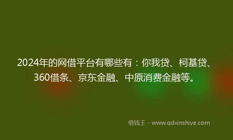 2024年的网借平台有哪些有：你我贷、柯基贷、360借条、京东金融、中原消费金融等。
