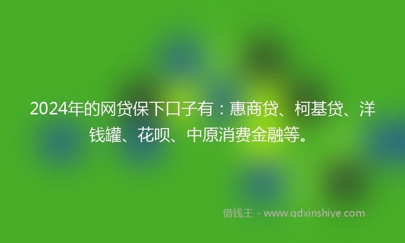2024年的网贷保下口子有：惠商贷、柯基贷、洋钱罐、花呗、中原消费金融等。