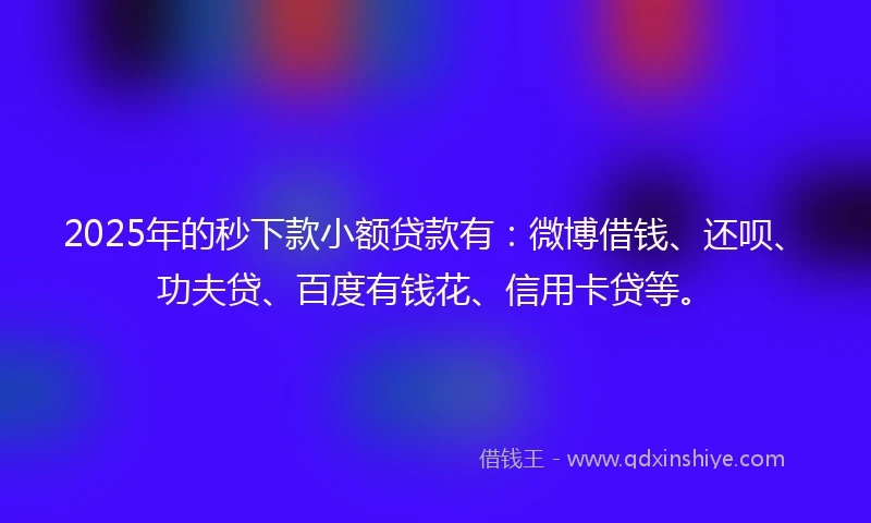 2025年的秒下款小额贷款有：微博借钱、还呗、功夫贷、百度有钱花、信用卡贷等。