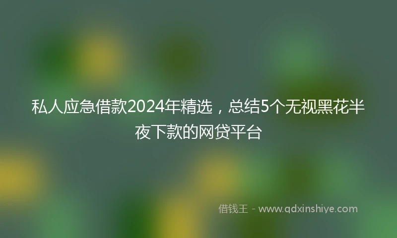 私人应急借款2024年精选，总结5个无视黑花半夜下款的网贷平台