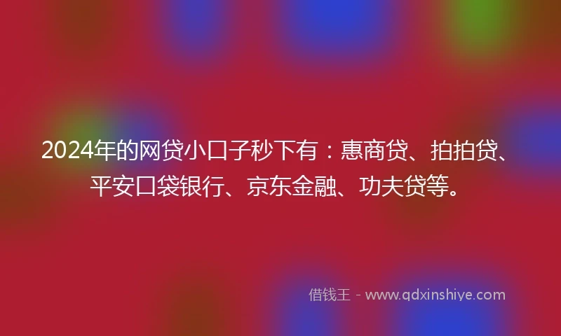 2024年的网贷小口子秒下有：惠商贷、拍拍贷、平安口袋银行、京东金融、功夫贷等。