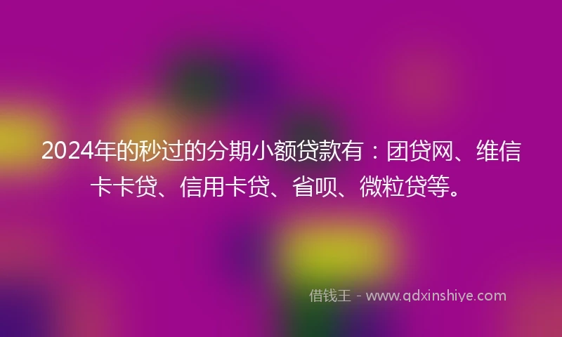 2024年的秒过的分期小额贷款有：团贷网、维信卡卡贷、信用卡贷、省呗、微粒贷等。