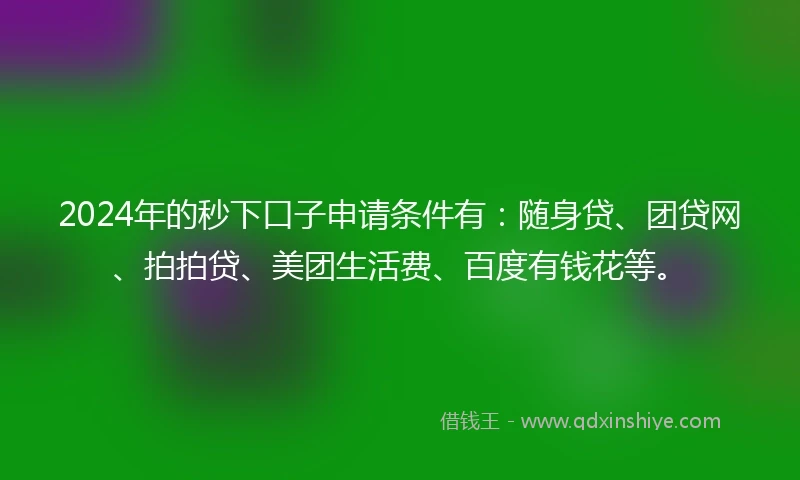 2024年的秒下口子申请条件有：随身贷、团贷网、拍拍贷、美团生活费、百度有钱花等。