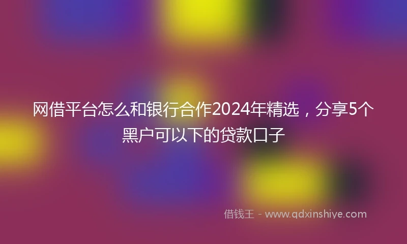 网借平台怎么和银行合作2024年精选，分享5个黑户可以下的贷款口子