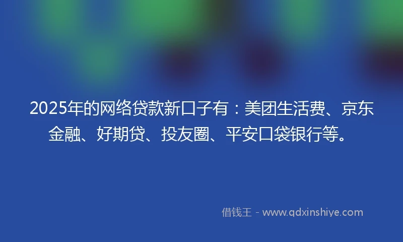 2025年的网络贷款新口子有：美团生活费、京东金融、好期贷、投友圈、平安口袋银行等。