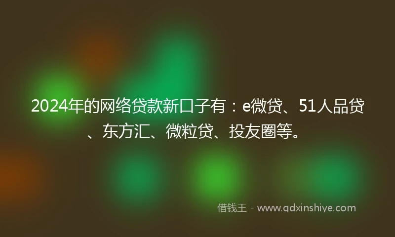 2024年的网络贷款新口子有：e微贷、51人品贷、东方汇、微粒贷、投友圈等。
