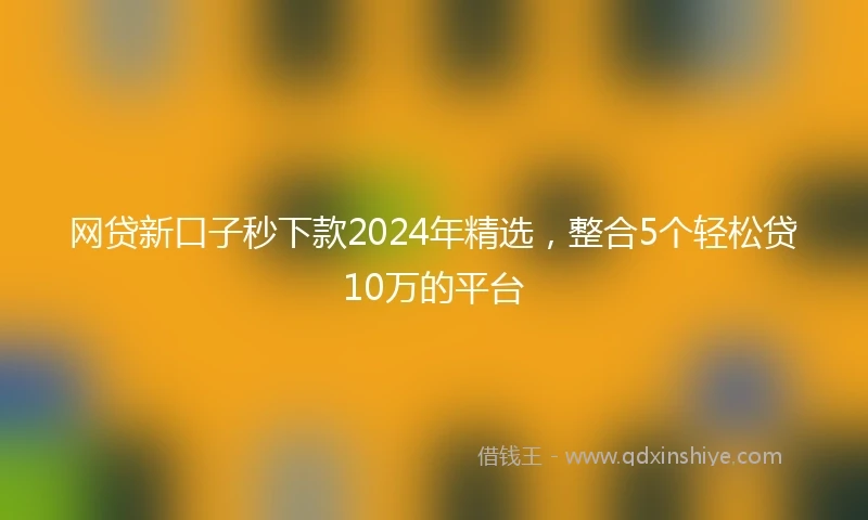 网贷新口子秒下款2024年精选，整合5个轻松贷10万的平台