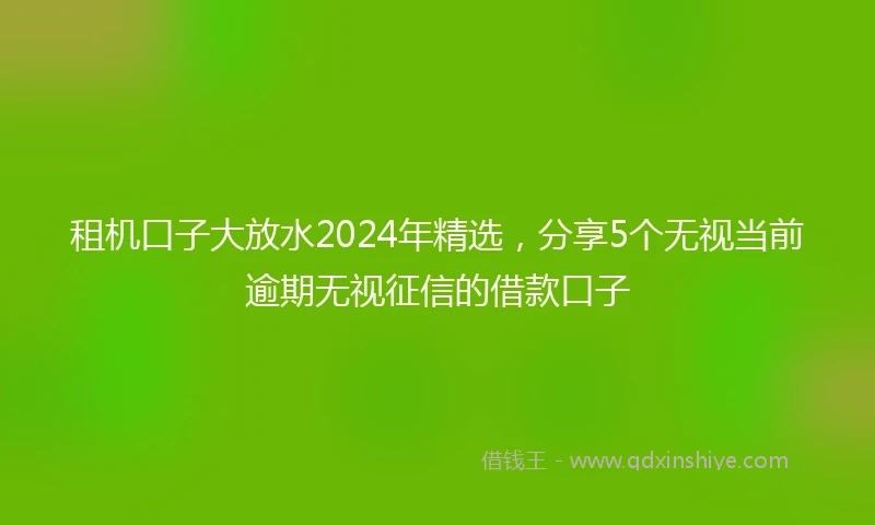 租机口子大放水2024年精选，分享5个无视当前逾期无视征信的借款口子