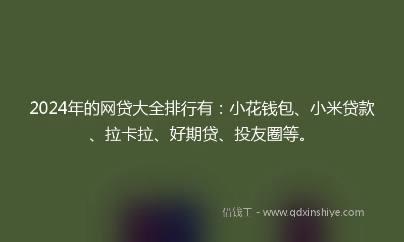 2024年的网贷大全排行有：小花钱包、小米贷款、拉卡拉、好期贷、投友圈等。