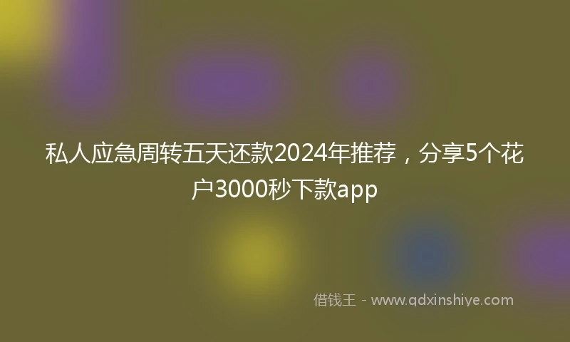 私人应急周转五天还款2024年推荐，分享5个花户3000秒下款app