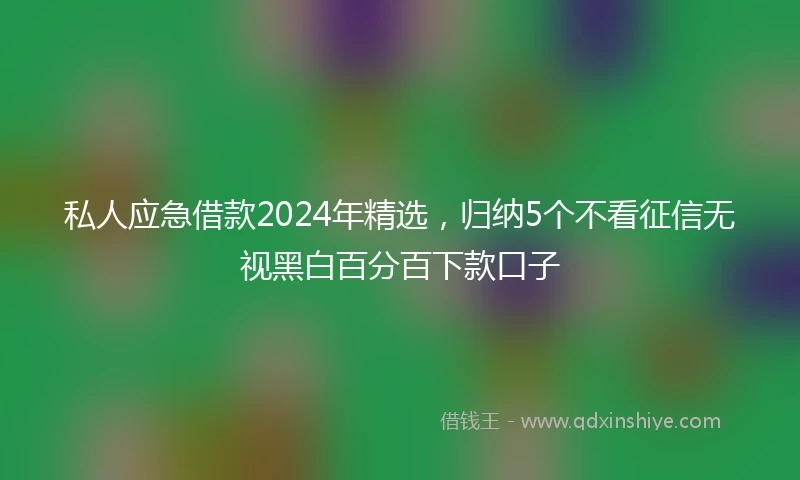私人应急借款2024年精选，归纳5个不看征信无视黑白百分百下款口子