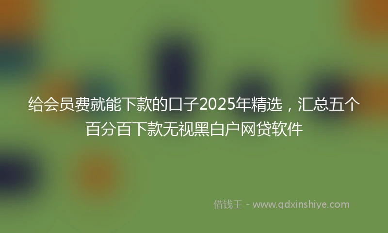 给会员费就能下款的口子2025年精选，汇总五个百分百下款无视黑白户网贷软件