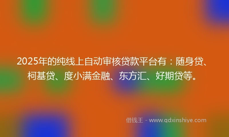 2025年的纯线上自动审核贷款平台有：随身贷、柯基贷、度小满金融、东方汇、好期贷等。