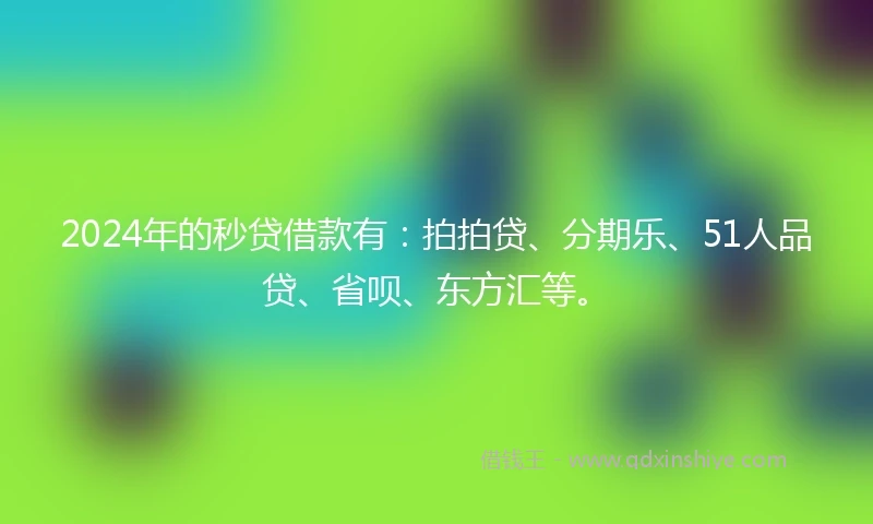 2024年的秒贷借款有：拍拍贷、分期乐、51人品贷、省呗、东方汇等。
