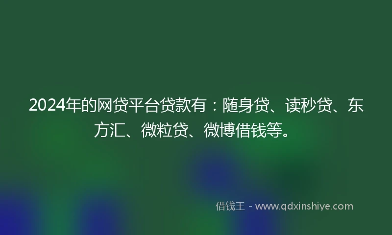 2024年的网贷平台贷款有：随身贷、读秒贷、东方汇、微粒贷、微博借钱等。