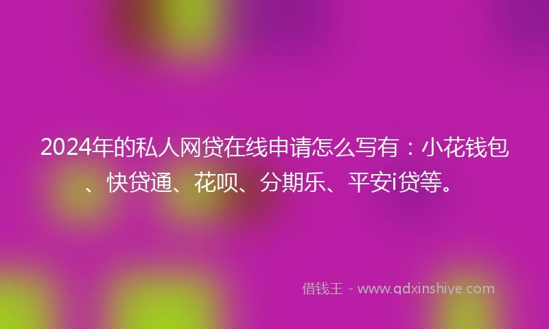 2024年的私人网贷在线申请怎么写有：小花钱包、快贷通、花呗、分期乐、平安i贷等。