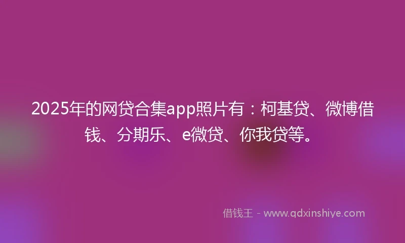 2025年的网贷合集app照片有：柯基贷、微博借钱、分期乐、e微贷、你我贷等。