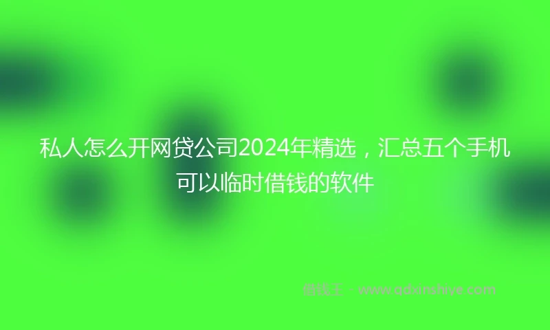 私人怎么开网贷公司2024年精选，汇总五个手机可以临时借钱的软件