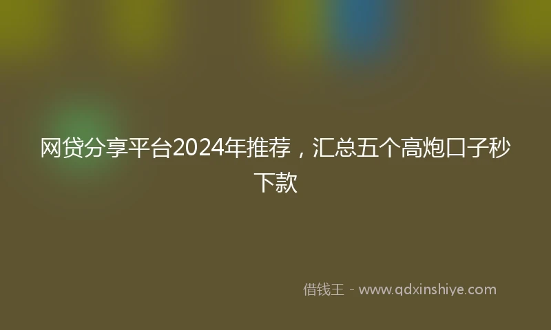网贷分享平台2024年推荐，汇总五个高炮口子秒下款
