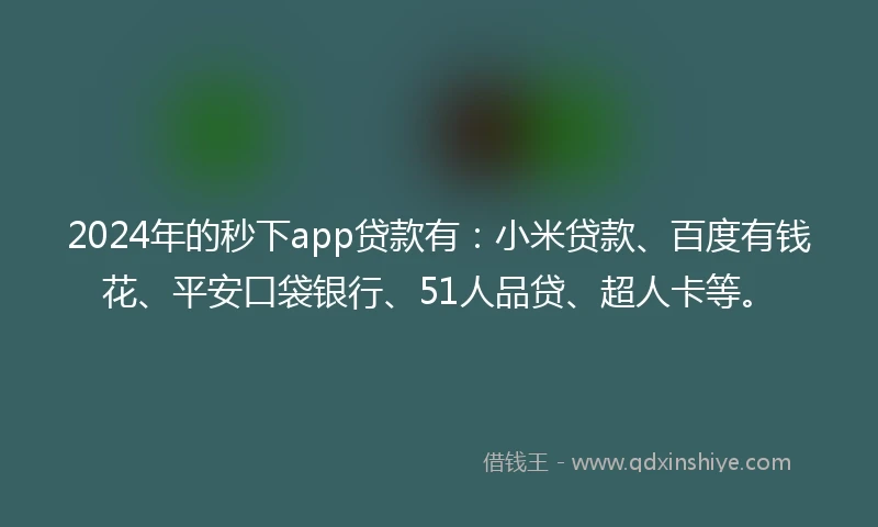 2024年的秒下app贷款有：小米贷款、百度有钱花、平安口袋银行、51人品贷、超人卡等。