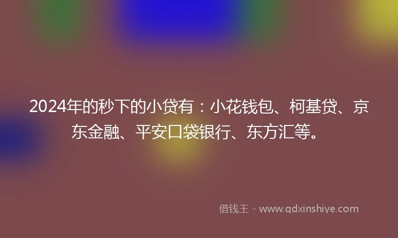 2024年的秒下的小贷有：小花钱包、柯基贷、京东金融、平安口袋银行、东方汇等。