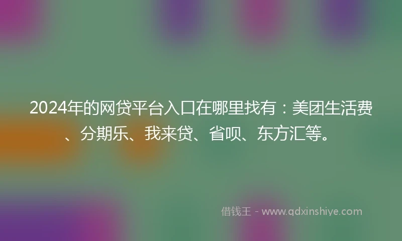 2024年的网贷平台入口在哪里找有：美团生活费、分期乐、我来贷、省呗、东方汇等。